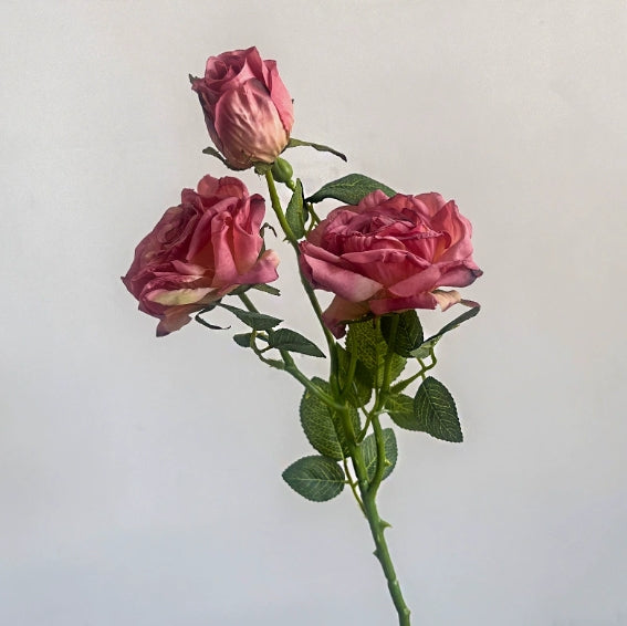 French-style Artificial Rose, Single Stem with 3 Heads, Vintage Style with Burnt Edges