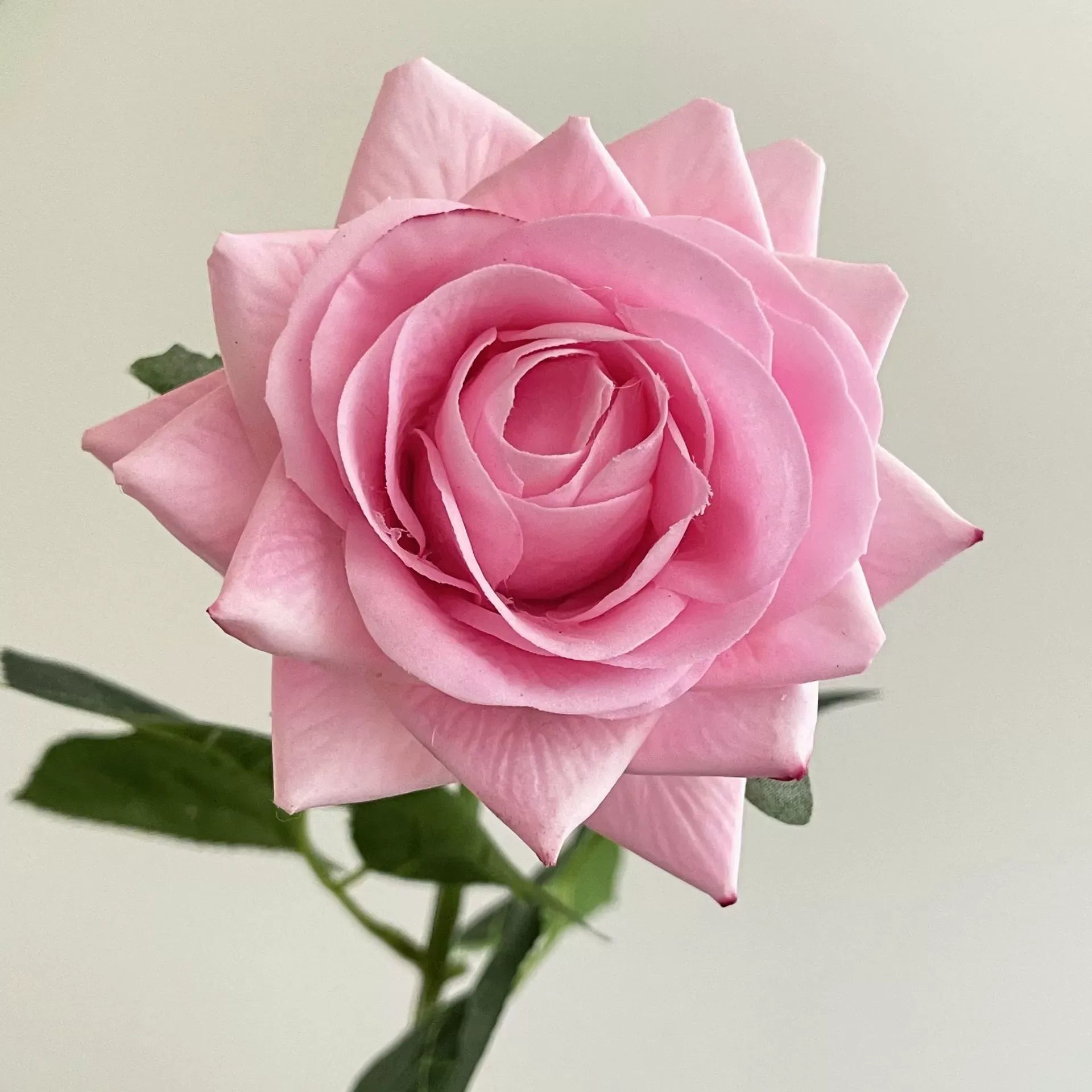 Artificial Rose Bouquet – Realistic "Real-Touch" Feel – Home Decor & Floral Arrangement