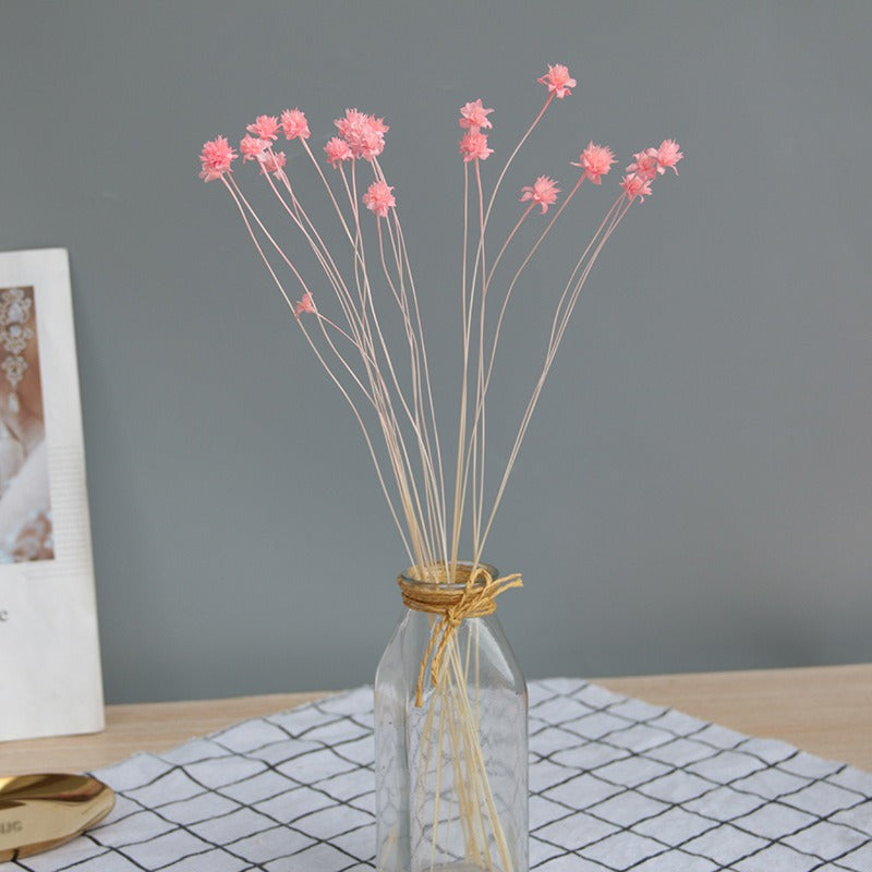 DIY Floral Arrangement Bundle: 30 Stems of Small Dried/Preserved Wildflowers & Baby's Breath (Filler Flowers)