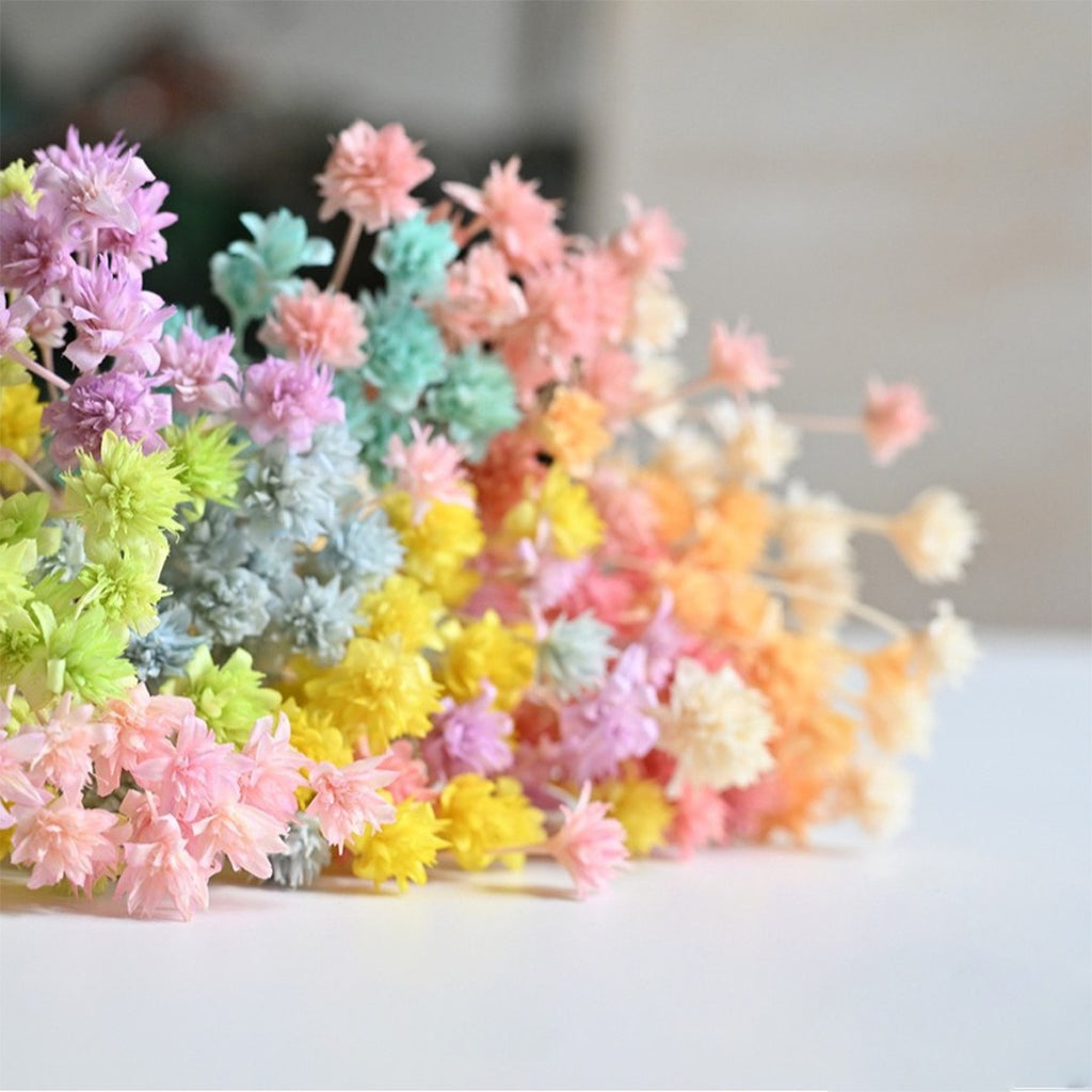 DIY Floral Arrangement Bundle: 30 Stems of Small Dried/Preserved Wildflowers & Baby's Breath (Filler Flowers)