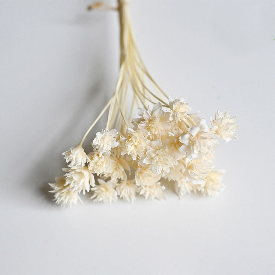 DIY Floral Arrangement Bundle: 30 Stems of Small Dried/Preserved Wildflowers & Baby's Breath (Filler Flowers)