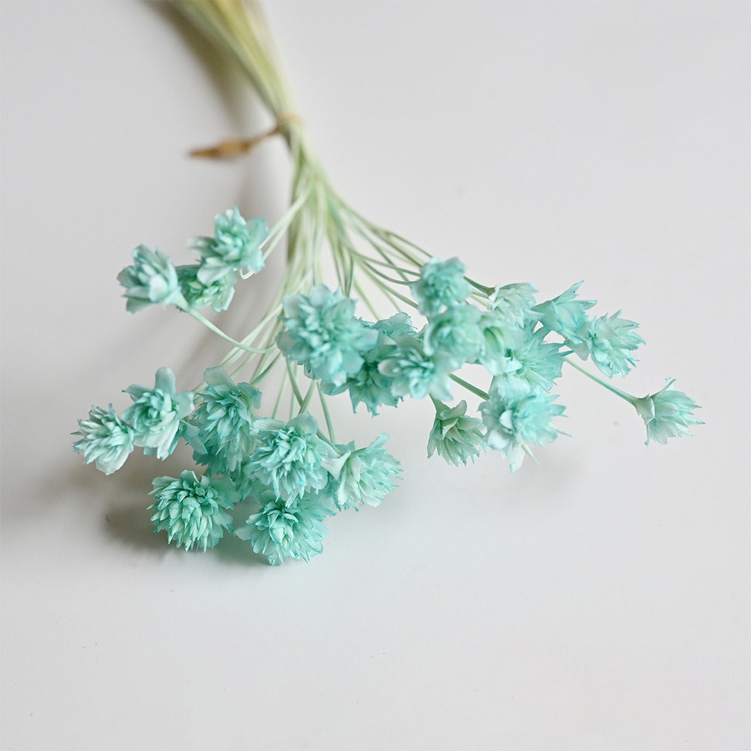 DIY Floral Arrangement Bundle: 30 Stems of Small Dried/Preserved Wildflowers & Baby's Breath (Filler Flowers)