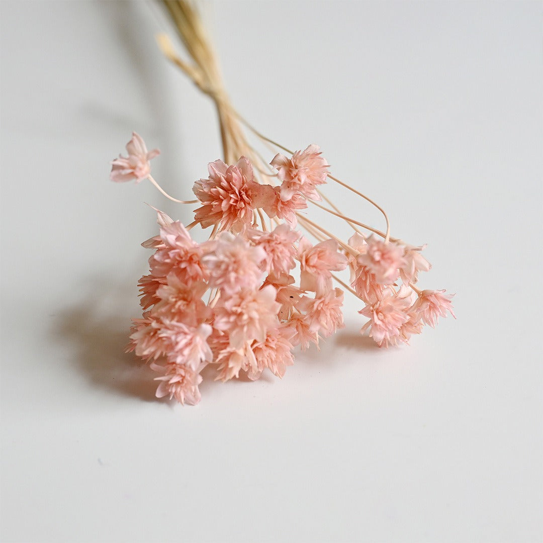 DIY Floral Arrangement Bundle: 30 Stems of Small Dried/Preserved Wildflowers & Baby's Breath (Filler Flowers)