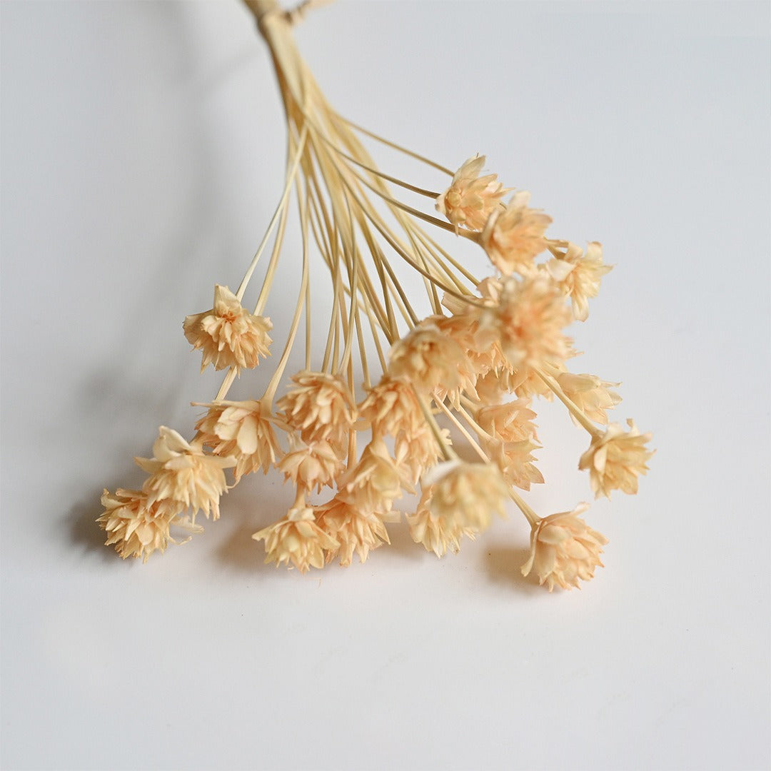 DIY Floral Arrangement Bundle: 30 Stems of Small Dried/Preserved Wildflowers & Baby's Breath (Filler Flowers)