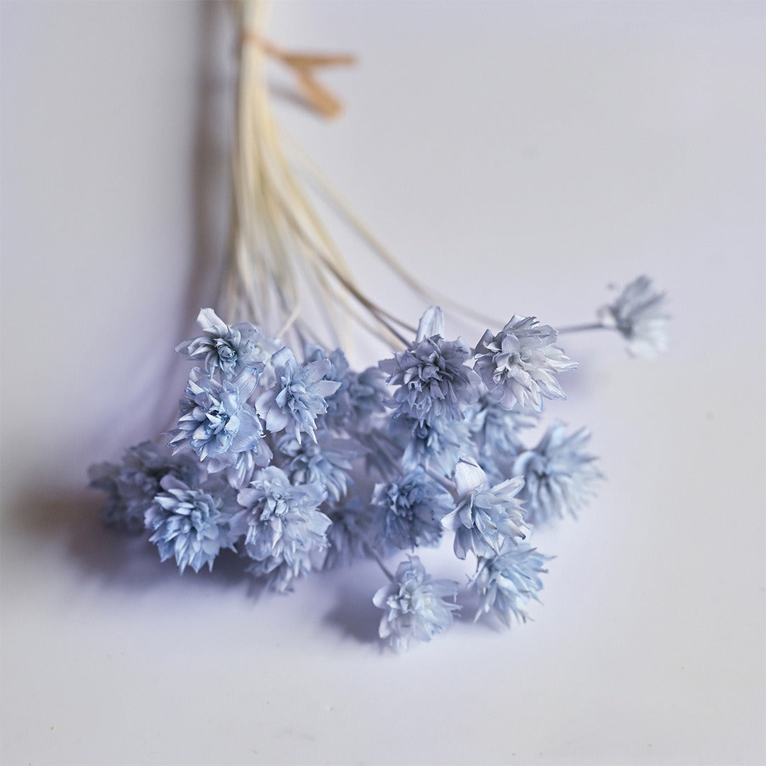 DIY Floral Arrangement Bundle: 30 Stems of Small Dried/Preserved Wildflowers & Baby's Breath (Filler Flowers)