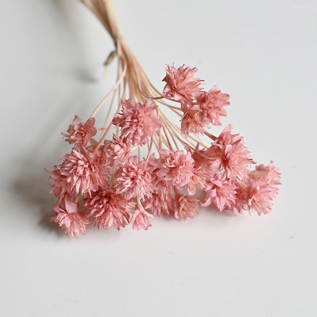 DIY Floral Arrangement Bundle: 30 Stems of Small Dried/Preserved Wildflowers & Baby's Breath (Filler Flowers)