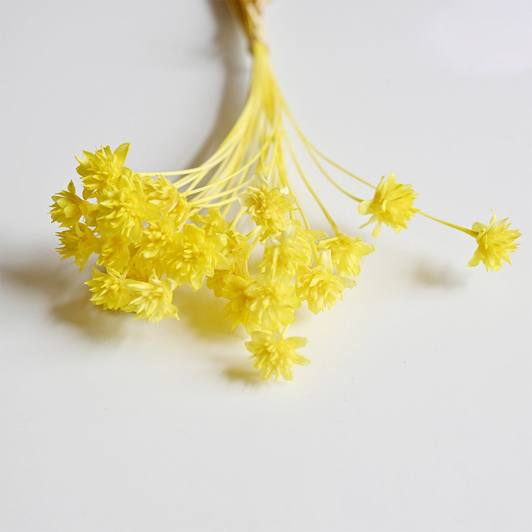 DIY Floral Arrangement Bundle: 30 Stems of Small Dried/Preserved Wildflowers & Baby's Breath (Filler Flowers)