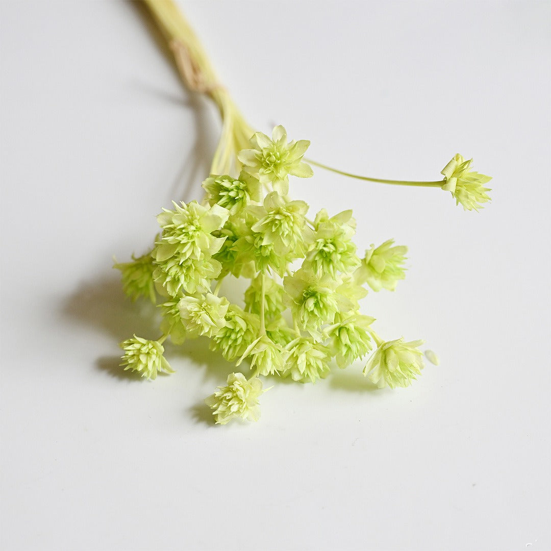 DIY Floral Arrangement Bundle: 30 Stems of Small Dried/Preserved Wildflowers & Baby's Breath (Filler Flowers)