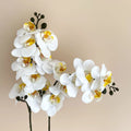 8-Head Artificial Phalaenopsis Orchid – European-Style Home & Wedding Decor Bouquet