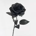 Rose – Gothic/Dark Style Artificial Flower (Black, White, & Red) – Halloween Decor