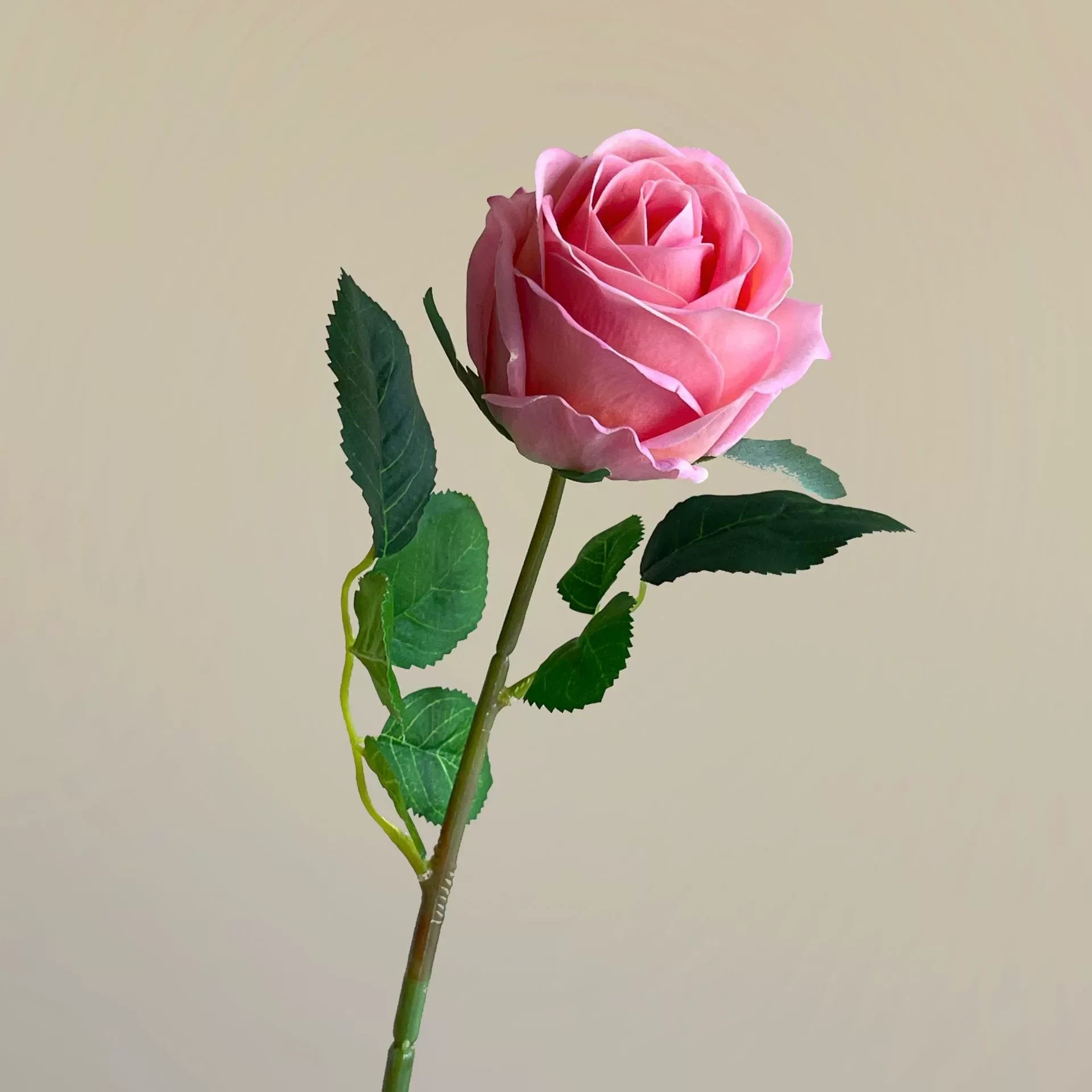 Set of 10 Large Rosebuds (Moist-Touch/Preserved-Look Artificial Flowers)