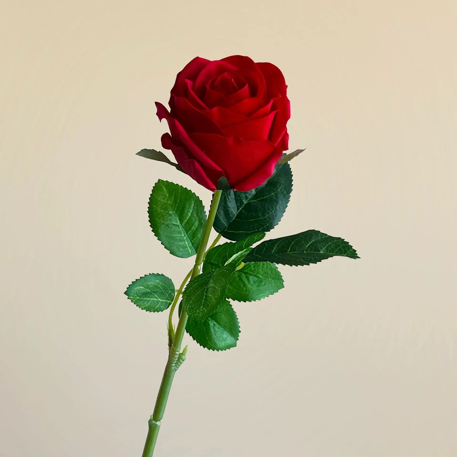 Set of 10 Large Rosebuds (Moist-Touch/Preserved-Look Artificial Flowers)