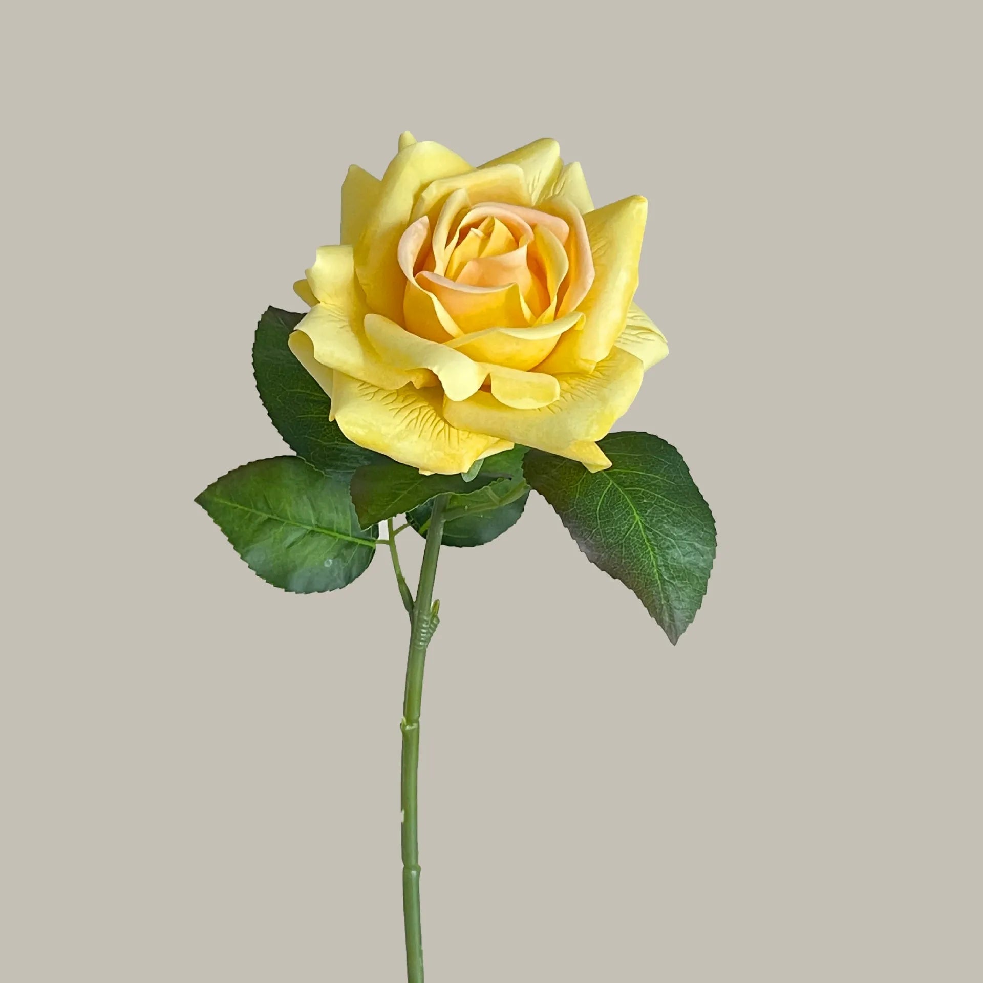 Moist-Touch Artificial Rose – Single-Stem Decorative Flower